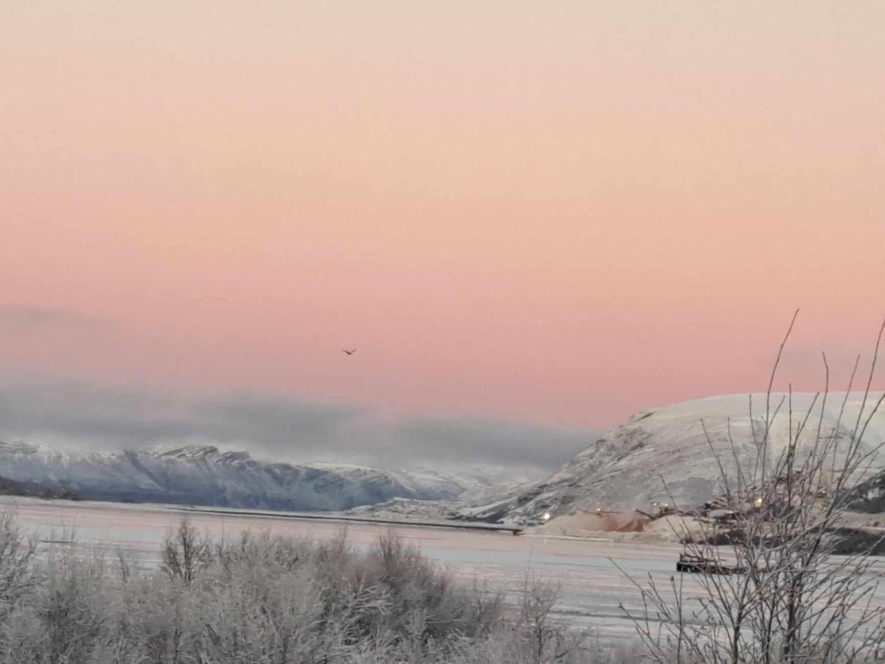 Austertanakrystallen By Pure Lifestyle Arctic Εξωτερικό φωτογραφία